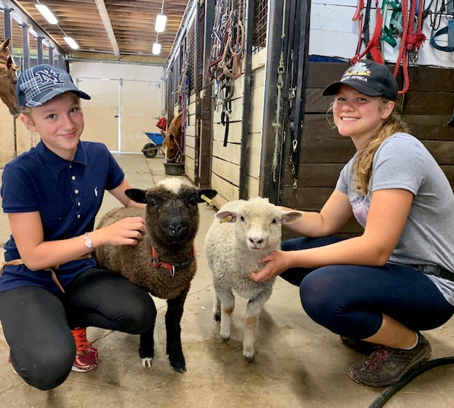 Two kids with baby sheep