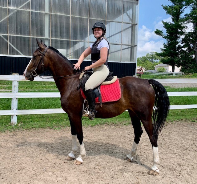 A woman in equestrian gear riding a dark brown horse