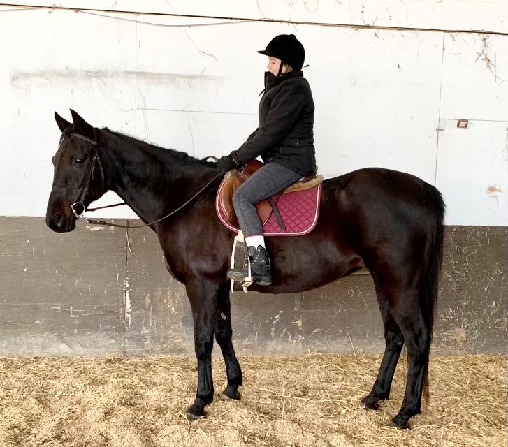 A woman in a black jacket riding a dark brown horse