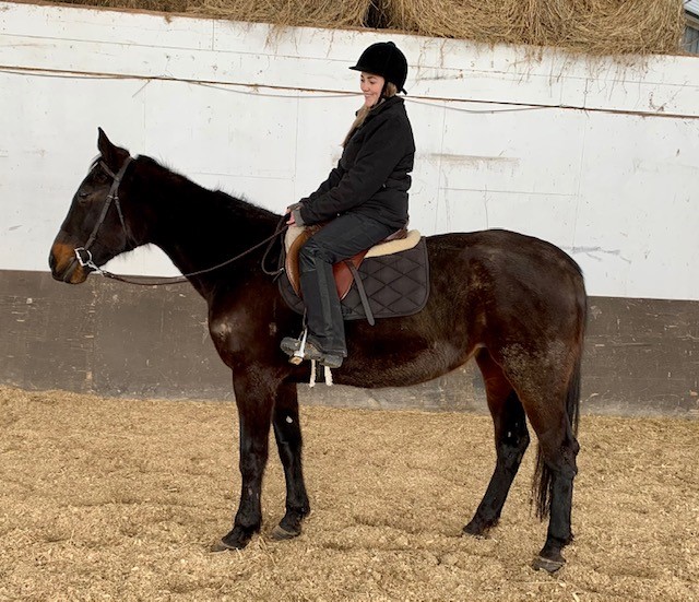 An equestrian riding a dark brown horse