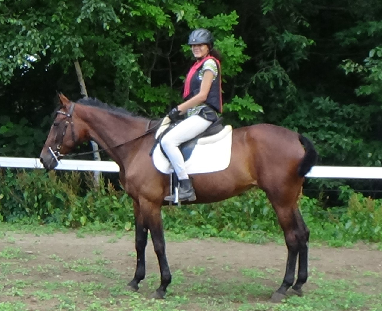 A smiling equestrian riding a dark brown horse  