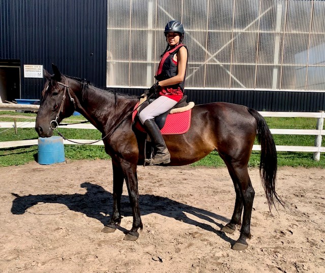An equestrian wearing a sleeveless shirt while riding a dark brown horse