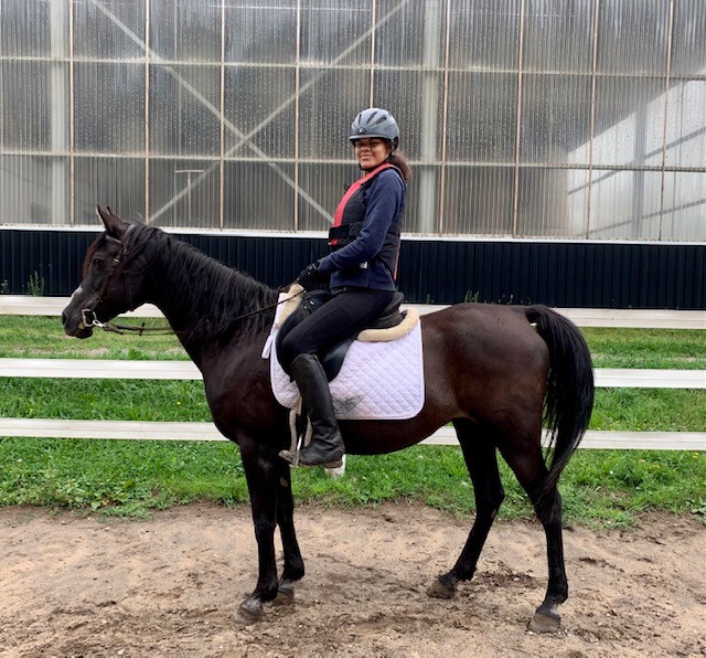 An equestrian riding a black Arabian mare  