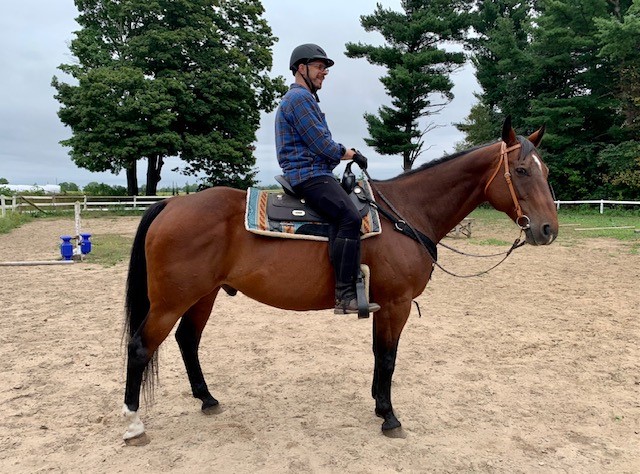 A man riding a brown gelding horse