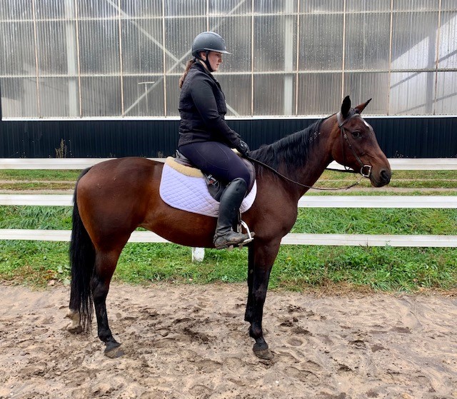 An equestrian in black riding a dark brown horse  