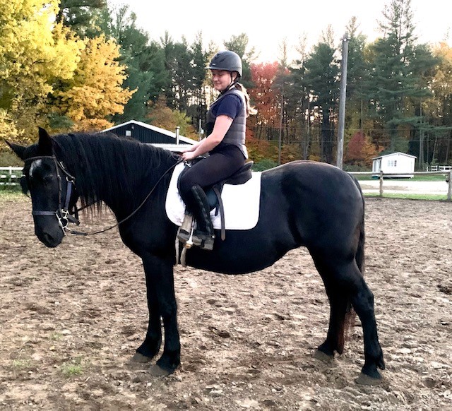 A female equestrian riding a beautiful black horse