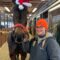 A girl beside a brown horse wearing a Santa hat