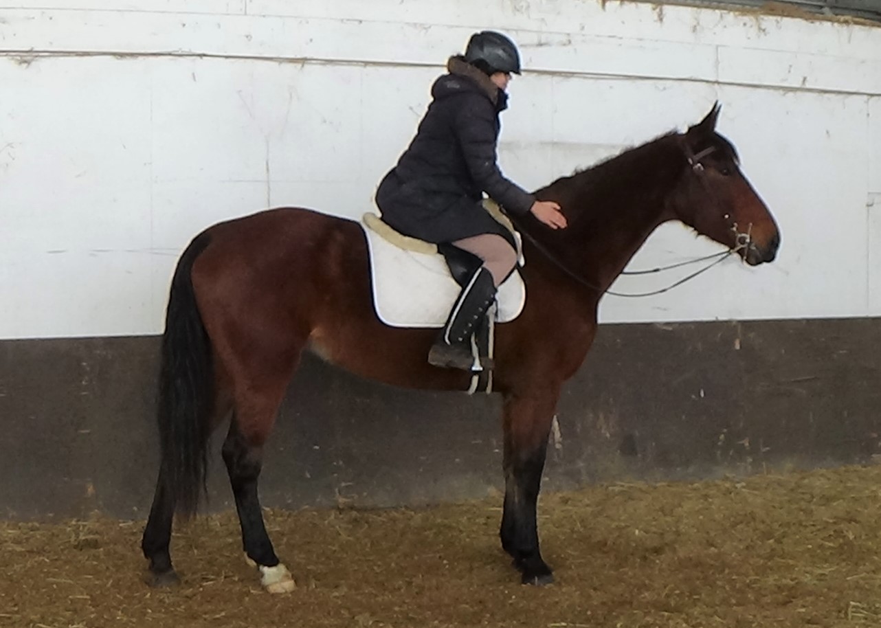 A person wearing a helmet riding a brown horse indoors