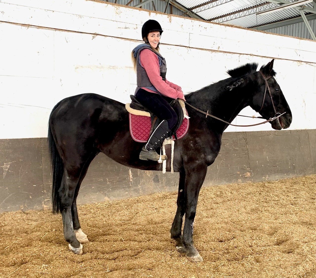 A woman in pink equestrian gear riding a dark brown horse  